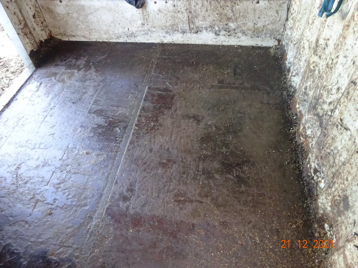 Vandaag inzake bestuursdwang herstelmaatregelen laten uitvoeren. Paarden in smerige stal en tevens zonder water. Stallen uit laten mesten en paarden van water voorzien. @rvo_nederland, #dierenwelzijn, #lid