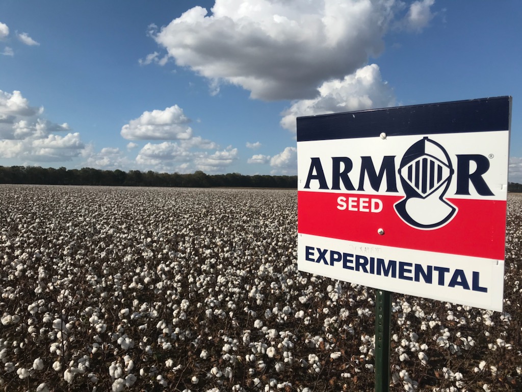 Did you #StartStrong this year? We're excited about the results we've seen and about next year's line-up. Stay tuned in the coming weeks as we discuss and gear up for #plant22! #ArmorCotton