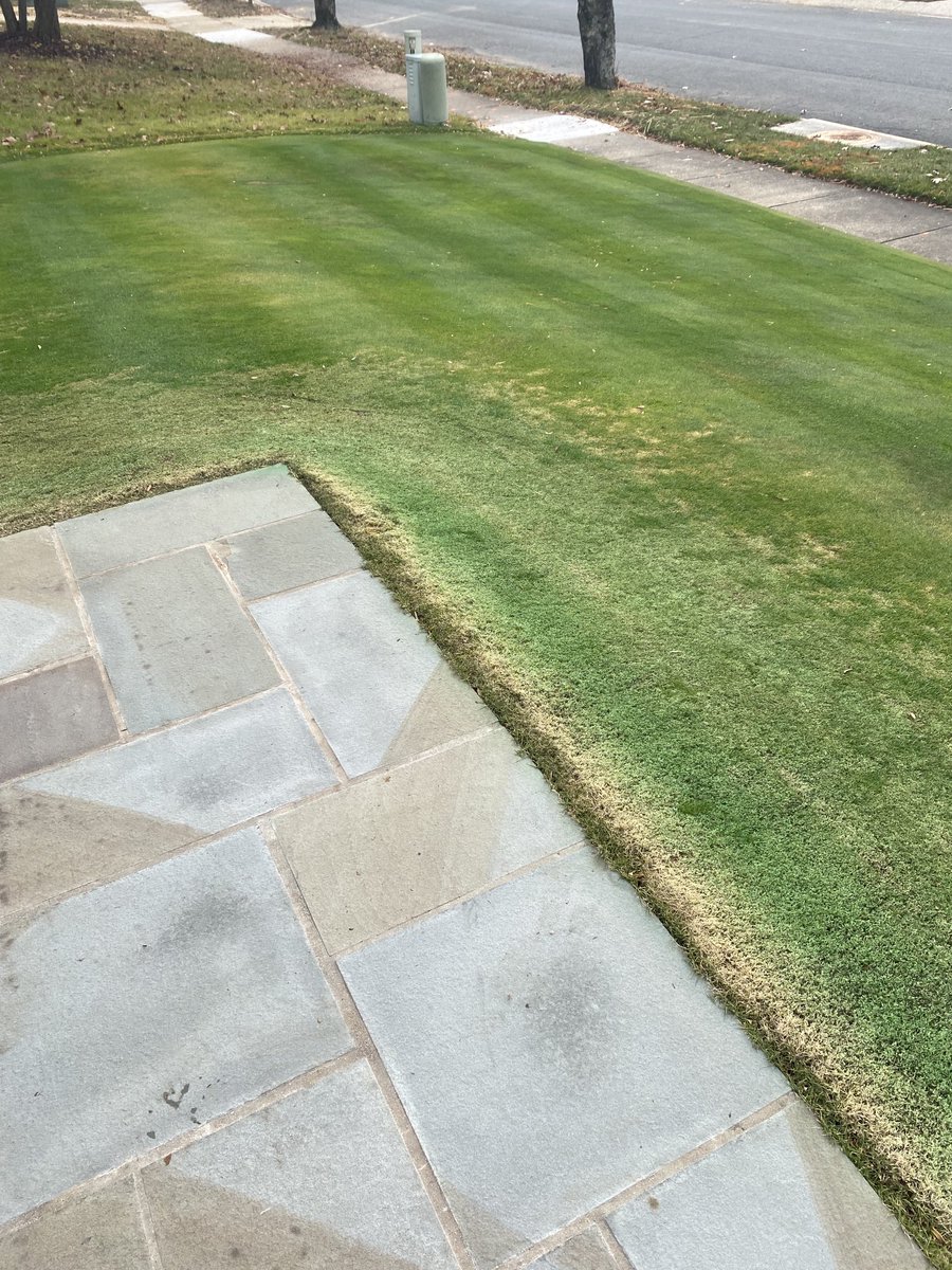 Trying to figure out the turf pigment applications on the Latitude Bermuda. Certainly looks better than last year. At least the wife has not asked why our grass is dying yet. Difficult blending in with the Bent.