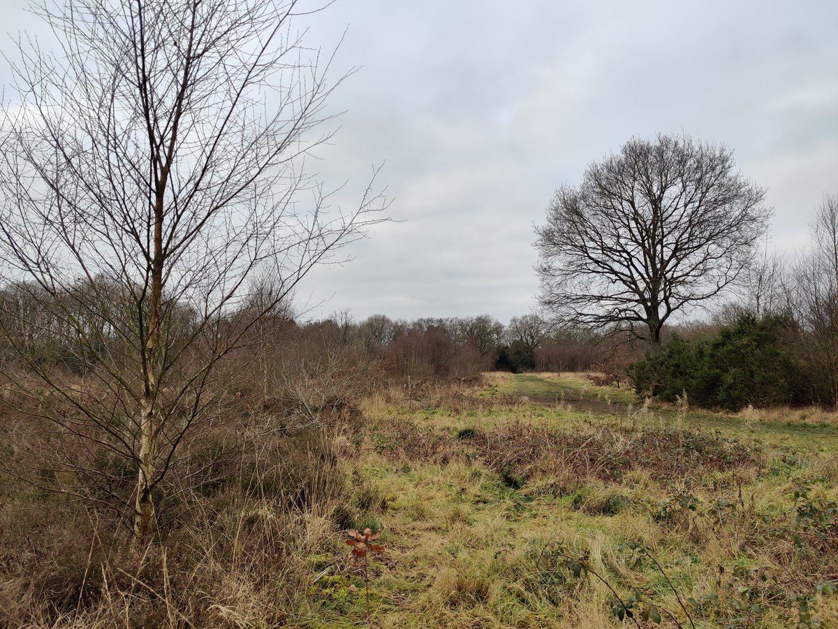 LindowCommon's tweet photo. Winter Solstice on #LindowCommon, #Wilmslow. Winter officially upon us by all measures. Don't despair as from tomorrow on, days will start getting longer again... https://t.co/yw7mma0N2z