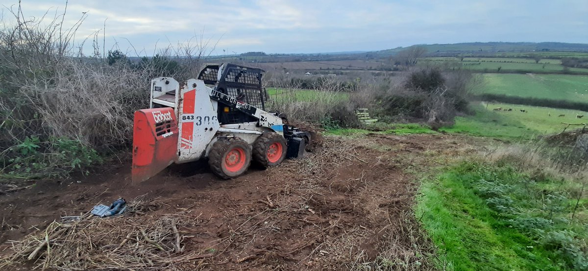 Ganders Goat tweet media