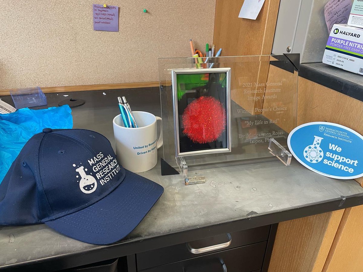 Marojasl's tweet photo. Thank you for all your votes and Mass General for the award! @MGH_RI @MassGenBrigham @MGoldbergLab https://t.co/KlIM0AbPtY
