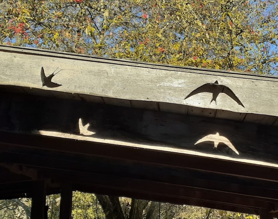 Only in the low midday sun of recent days will each swift and swallow find its other half ❤️ 🤗 ❤️  
#wintersolstice  #longshadows  #shadows  #shortestday  #winter2021