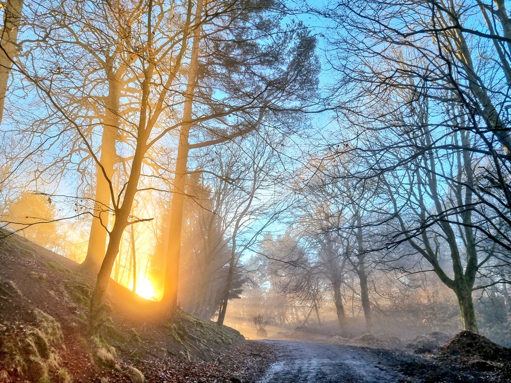 Sunlight shining through the fog - a sign of lighter days on the way! #WinterSolstice #Solstice #WINTER #light #positive #tuesdaymotivations