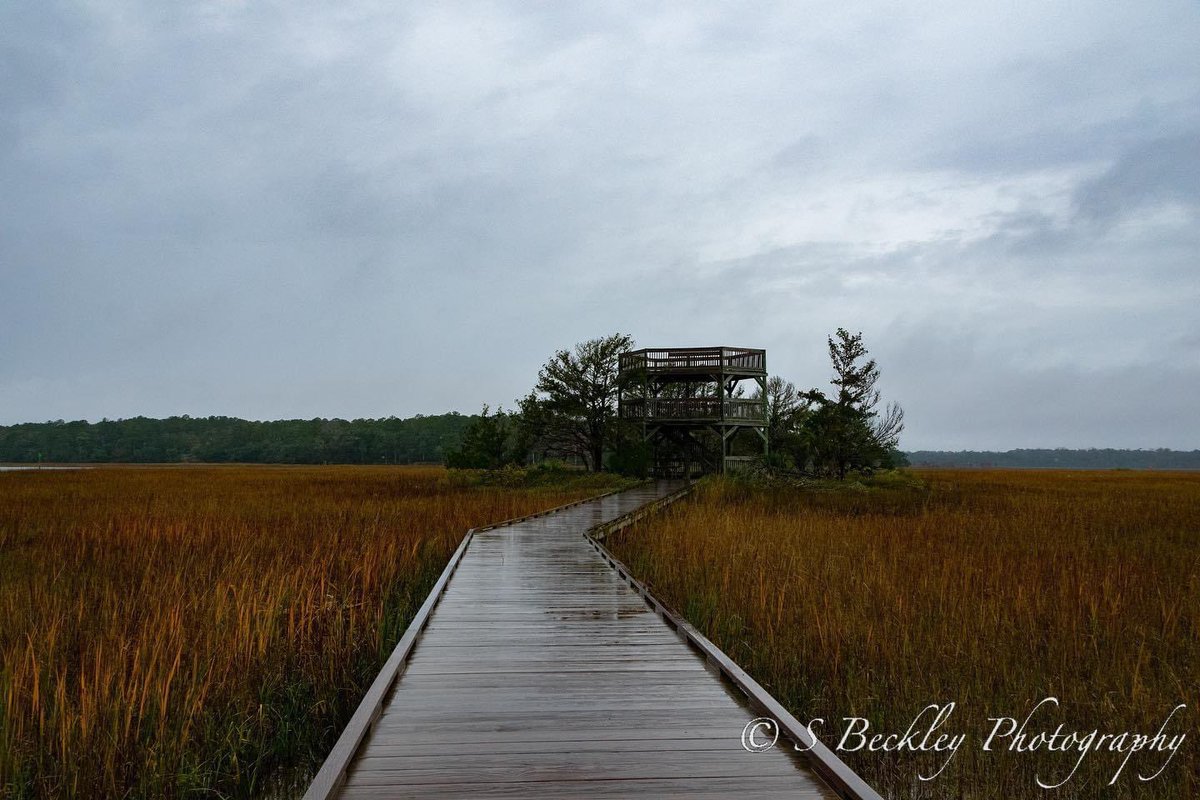 S_Beckley_Photo's tweet photo. Taken in Skidaway Island State Park, GA.

Nikon D5300.

#statepark #skidawayisland #georgia #marsh #tower #boardwalk #rainyday #rainy #rainyhike #hiking #saltmarsh #skidawaynarrows #narrows #intracoastalwaterway #intracoastal #cloudy #nikon #nikonphotography #nikonnofilter https://t.co/DVC3USozCB
