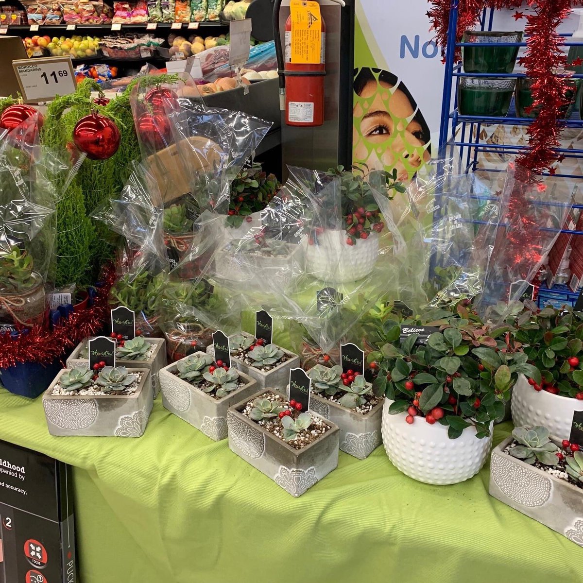 TwinValleyCoop's tweet photo. Elkhorn Food Store has lots of goodies and gift items in stock for your loved ones!
Chocolates, snacks, live plants... and more!
#shoplocal #shopoften 🎄 https://t.co/nzRNC5H6xj