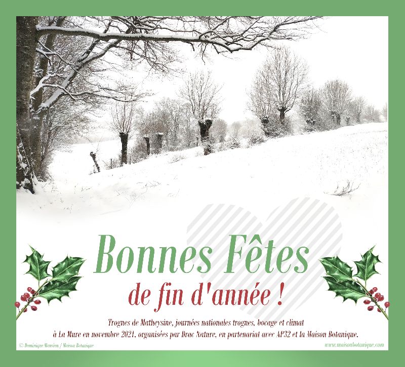 LevequeGeorges's tweet photo. Agenda 2022 de la #MaisonBotanique de #Boursay #LoirEtCher, c'est à lire avec le lien suivant : https://t.co/JUVASVXLfU     Du #bonheur en plein air et en bonne compagnie ! https://t.co/Yand09dMMD