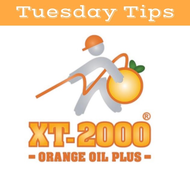 XT_2000's tweet photo. #TuesdayTips – When you’re in your backyard, take time to inspect your wooden furniture and deck for termites. Termites will make small holes in the wood. If the wood isn’t infested, make sure it’s sealed with a quality outdoor paint or sealant.
#XT2000 #Termites #PestControl https://t.co/3TRYpreL88
