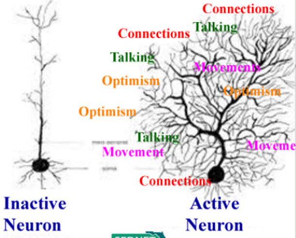 MsJessicaYC's tweet photo. Today in Mrs. Nash's class at @Ferndalerocks we discussed #Optimism and how practicing it strengthens our #Neurotransmitters & #Nerons, building our #BrainCapacity and strengthening our #ImmuneSystems. https://t.co/VaAQa9ev0d