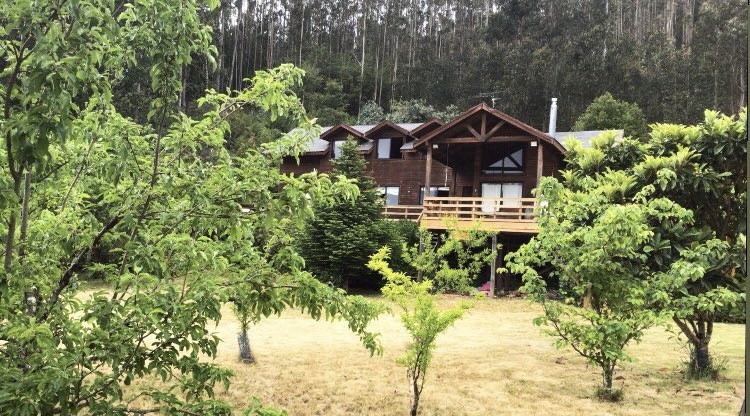 Duele decirlo: quemaron mi casa, mi lugar feliz, mi lugar favorito en este mundo ya no está ahí. 
No tengo palabras, hoy nos tocó a nosotros como a muchos más les ha tocado antes y lamentablemente a muchos más les seguirá tocando.
Son años de momentos felices, de recuerdos ->