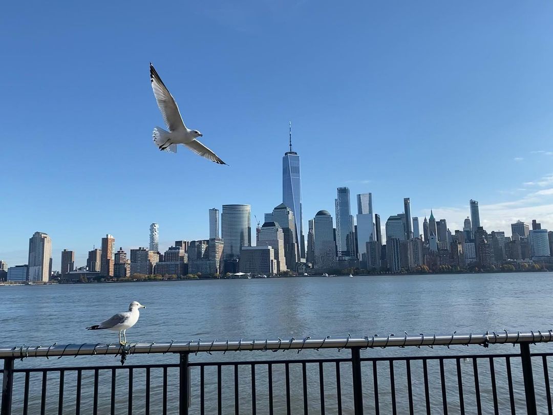Flying into Tuesday! Looking to check some holiday shopping off your list? Check out our Instagram Stories for #JerseyCity boutiques that have something for everyone on your list. 
📸: cristinacoimbra_ on Instagram