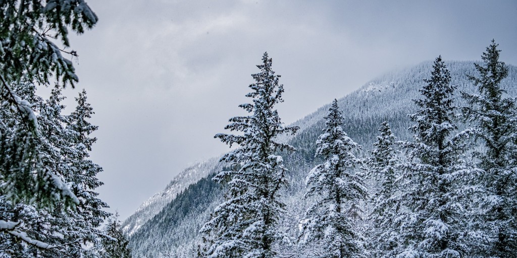 kingcountyparks's tweet photo. Happy #WinterSolstice, folks! ☃️ We hope you can take in nature in its winter splendor today. The days will start to get longer again now!

(Clockwise from top left)
🗻 Tanner Landing Park
❄️ Chinook Bend Natural Area
⛄ Cougar Mountain Regional Wildland Park
🧊 Preston Mill Park https://t.co/PEqB5Bv21n