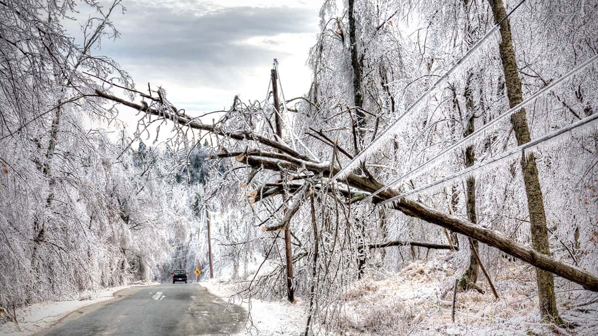 BriggsStratton's tweet photo. #Winter is officially here, but you don’t have to fear the forecast this year. Take the worry out of winter storms and be prepared for power outages with one of our affordable, professionally installed #HomeGenerators. https://t.co/HNlGxQhZ8r https://t.co/omJ0791hyy