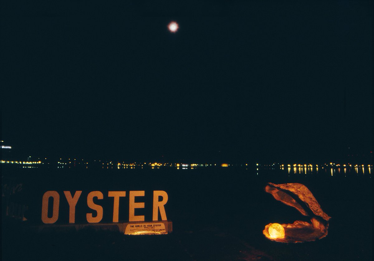 #theworldisyouroyster by #karinfgiusti at night✨