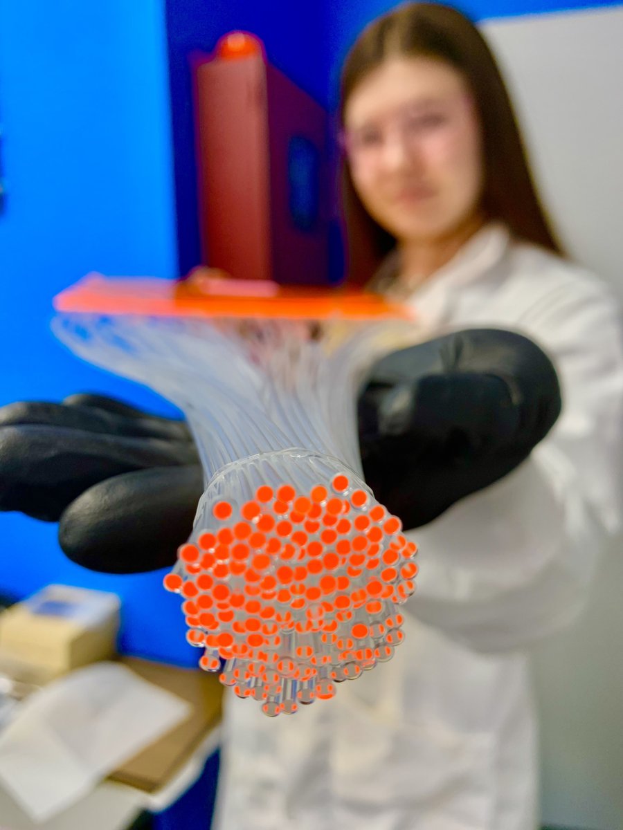 UbiGro's tweet image. Did you know that Quantum Dots can be used to move emitted light through fiber optics? Imagine bringing light to any level within your canopy! 
.
.
#greenhouse #growtech #ceatech #quantumdot #greenhouselife #greentech #plantlife #letsgetgrowing #nanotechnology #nanomaterials