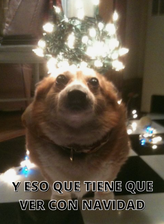 enviaflores's tweet photo. *mi jefe enviándome emails y pendientes*

yo: https://t.co/Q5fqwkQzVC