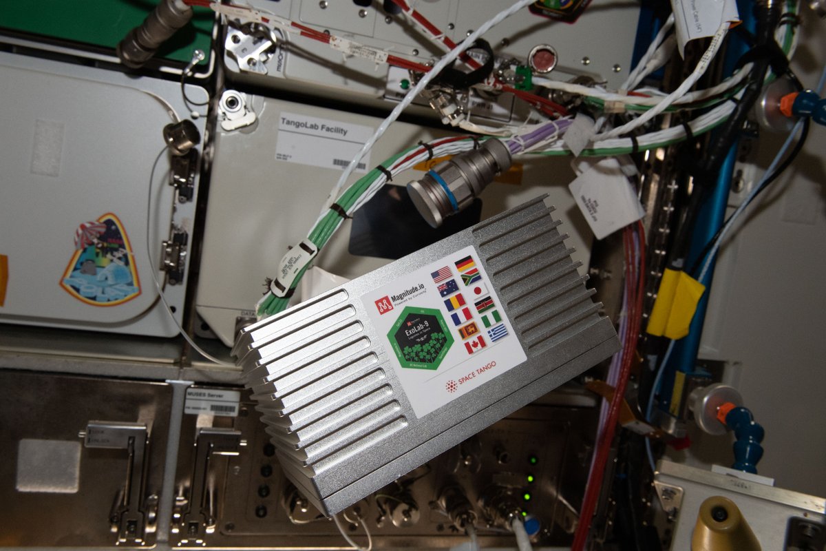 magnitudeio's tweet photo. "Adding genomics to our research goals gives researchers and students an opportunity to collaborate at the edge of discovery," announced CEO Ted Tagami. #LegumesInSpace #ExoLab #research #ISS #astrobotany

https://t.co/8s0OOt95Ln https://t.co/UY2jYwqES7