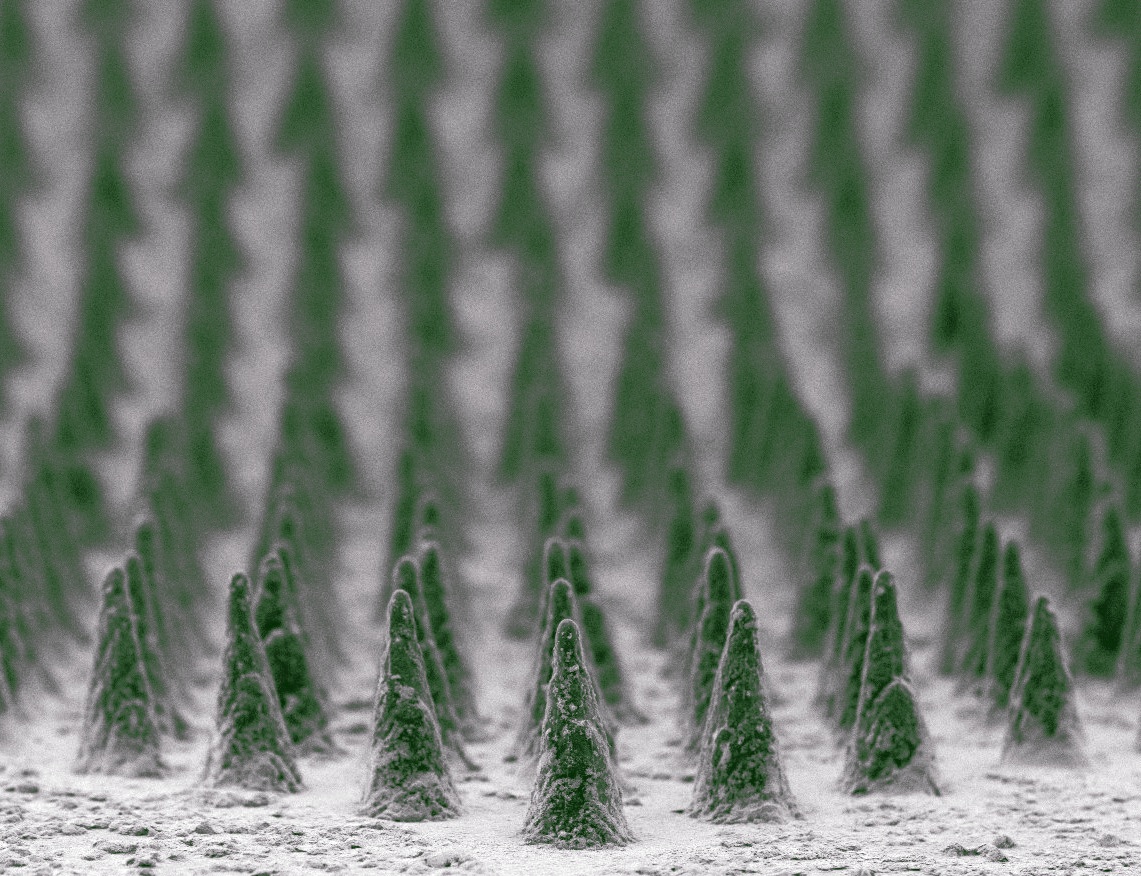 banasori's tweet photo. Nano Snow in Pine Forest 
December 2021 - NanoArtography Image of the Month - Congratulations to Andreia Sofia Santana dos Santos, #ALMASCIENCE, Portugal 
More info: https://t.co/xsZDx8uy3S
#SeasonsGreetings #NanoArtography #NanoSnow #Nanoscience #Nanotechnology #microfab https://t.co/5Cw7aojElx