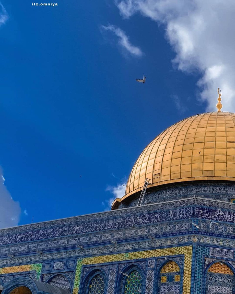 Muhammad Smiry 🇵🇸 tweet media