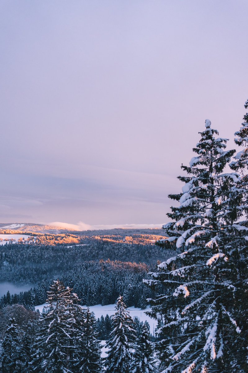 crowandiris's tweet photo. Happy winter solstice ❄️ I want to buy some people a coffee this winters day 🌙 drop your cashapp (only) and I will send $5 to 10 people picked randomly 💙 stay warm &amp; safe! #WinterSolstice #CashAppGiving #coffee https://t.co/nO6R3hdw1F