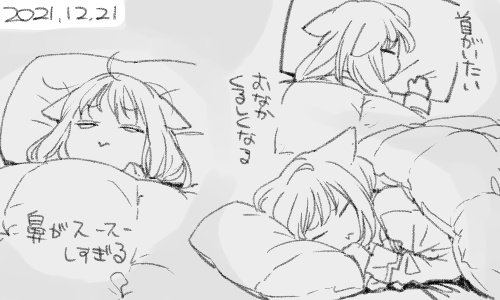 こいついつも究極の快眠(ワンピース)求めてんな 