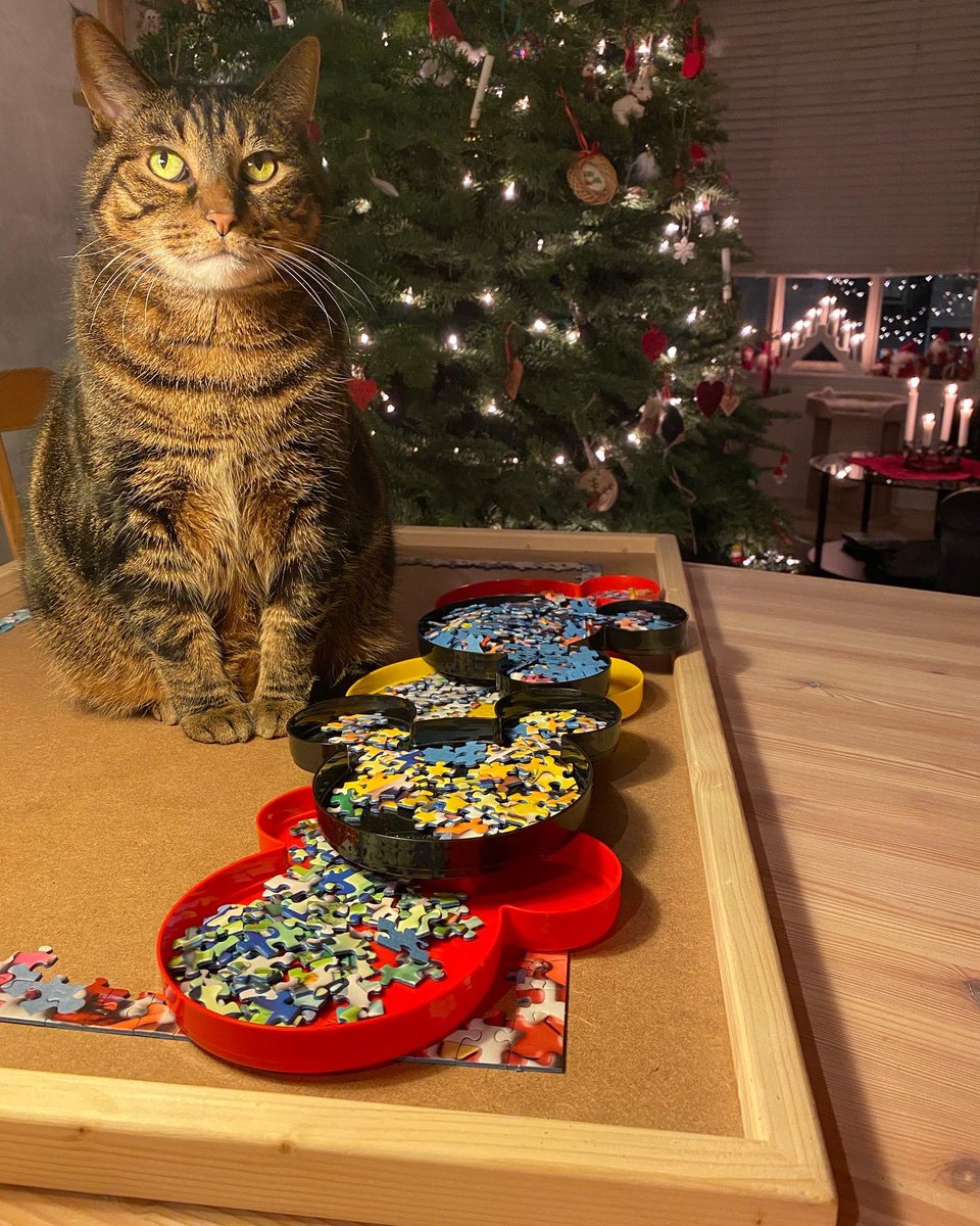 ellen_petersson's tweet photo. …the assistant is slowing down progress #puzzletime #furryhelper https://t.co/MOYpBOr7RE