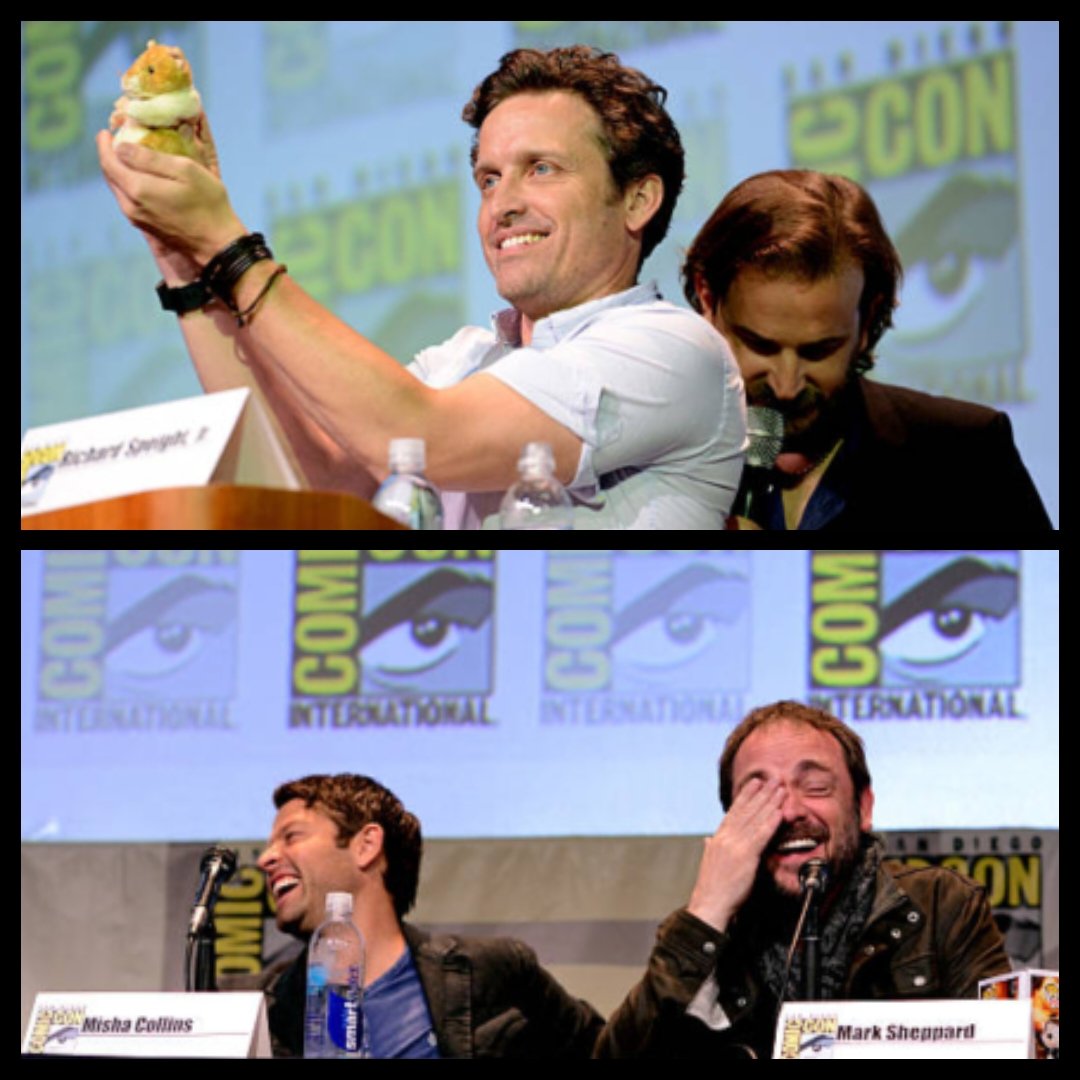 RSJrFanWorld tweet media