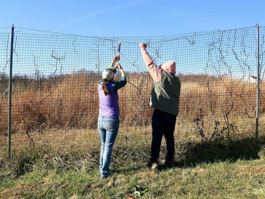 redwigglerfarm's tweet photo. Can't grow veggies without a deer fence! #WhatFarmersDoInWinter #DeerFence #Fencework https://t.co/X27lk7nPte
