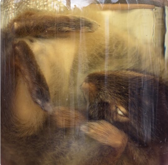 michael esworthy tweet media