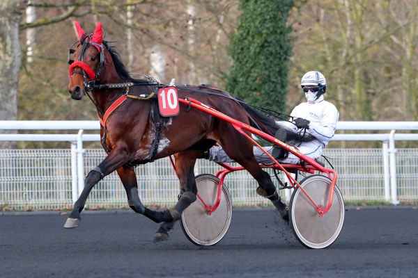 EcurieGriff's tweet image. L’élevage à l’honneur sur la cendrée 🥉

Guépard Griff ( Jag de Bellouet ) prend une très belle troisième place dans le Prix Courteilles. Il rassure pleinement son entourage. 
Bravo au jockey @RaffestinJ à Loïc Lerenard et au propriétaire @CafaroMathieu 👏👏.