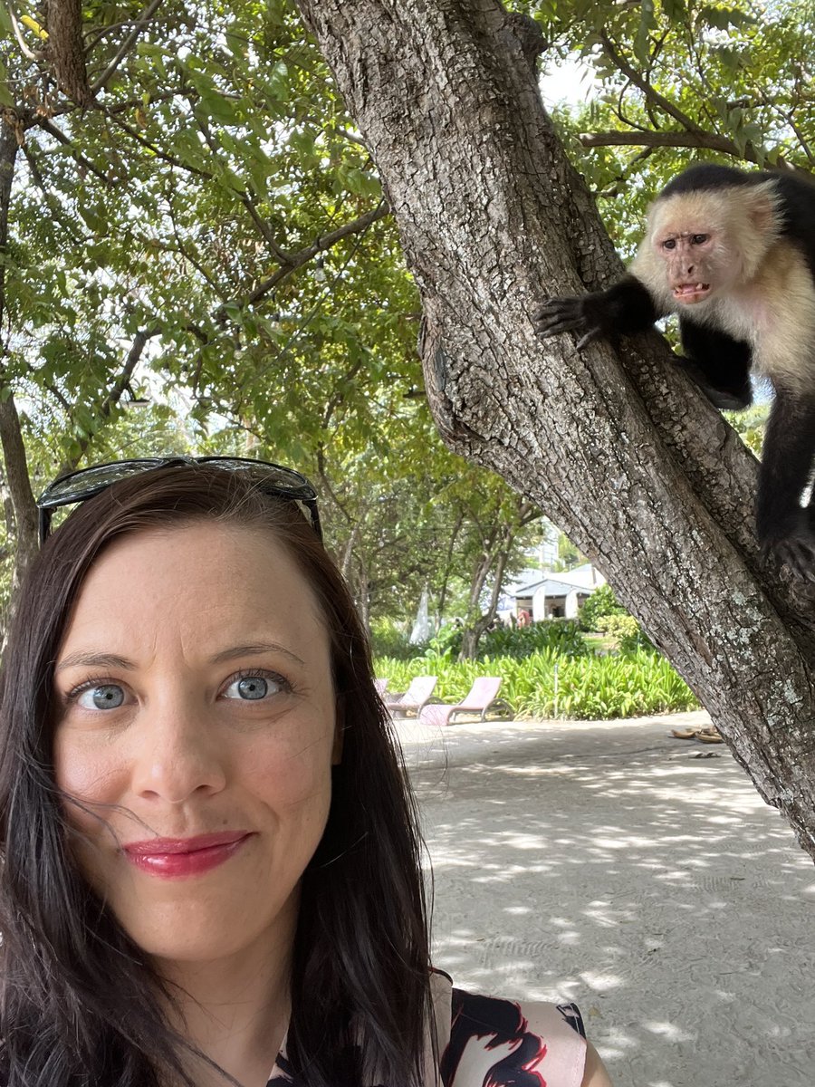 lyann888's tweet photo. That monkey looks like heโs mad at me for some reason. Maybe he wanted me to bring him foodโฆ
#CostaRica #travel #monkey #whitefacemonkey #WritingCommunity https://t.co/MpHYNJZhsx