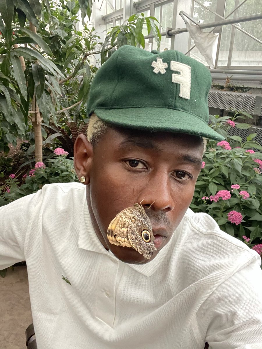 tylerthecreator's tweet photo. warmer season https://t.co/93kjJfgCYS