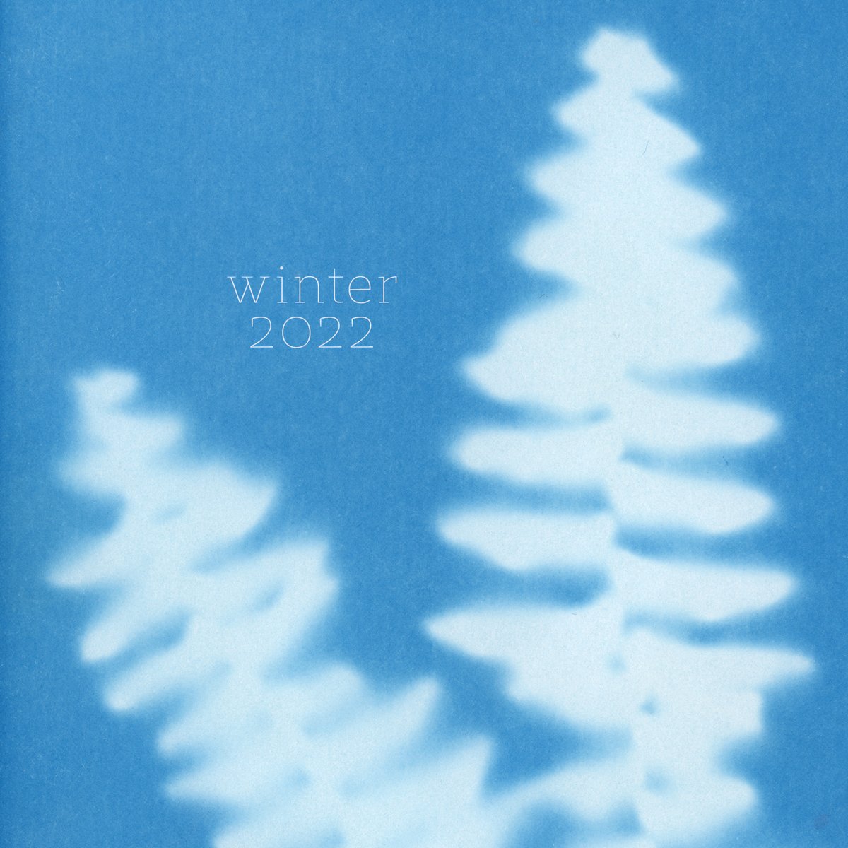 tessevans's tweet photo. happy solstice &amp; merry winter mix! https://t.co/8BoAJniF71 https://t.co/H8PnBDaUPn