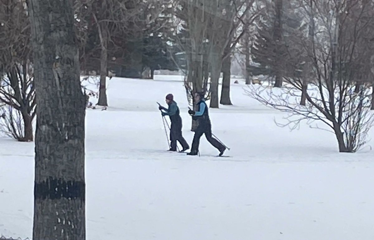 WillowRidgeYYC's tweet photo. Did you know that Maple Ridge Golf Course is open for cross country skiing? This is a great opportunity to keep up your exercise regimen over the winter months. https://t.co/OXNy2QWHgT