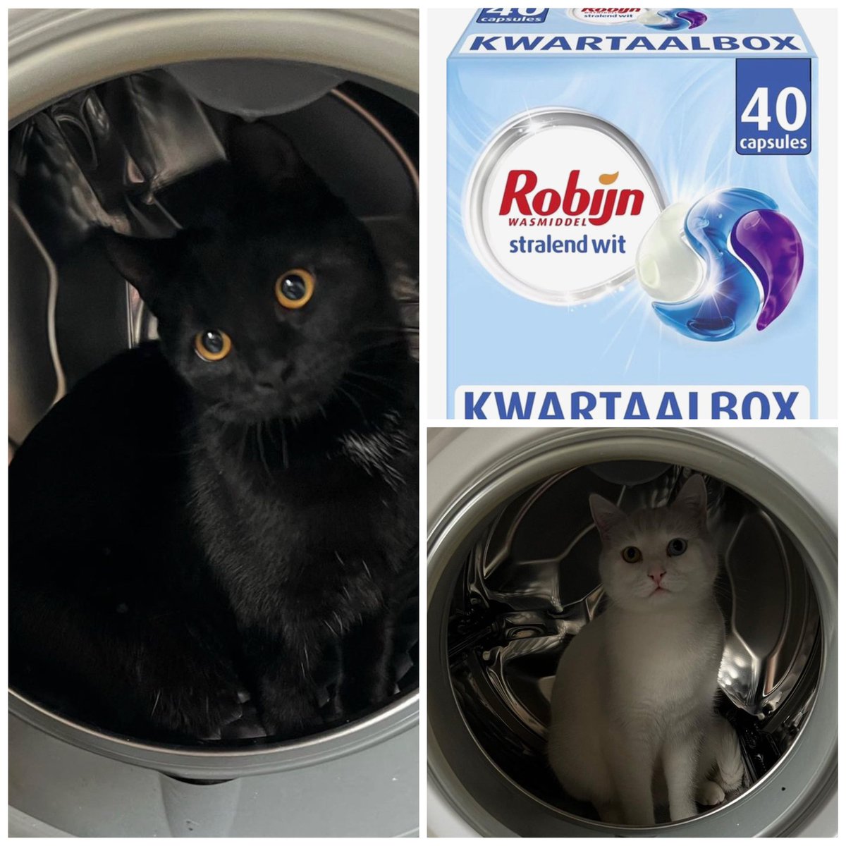 cindy_ve's tweet photo. Het werkt echt 😂🤣 #Robijn #Wasmiddel https://t.co/8yYMliRZB7