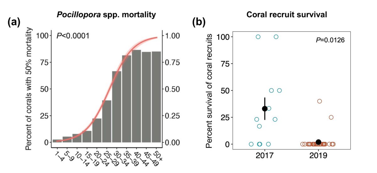 || NEW RESEARCH ||
Size‐dependent mortality of corals during marine #heatwave erodes recovery capacity of a #coralreef

📄 bit.ly/3stV5MD @kellyspeare