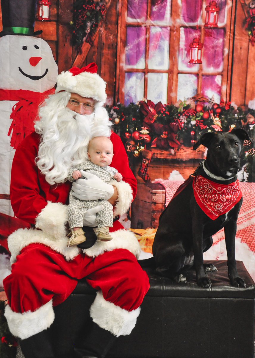 GlobalBeck's tweet photo. First time Santa photos with the kids! 

📷@saskdogrescue #MerryChristmas2021 #FreshBaby #yeg #yxe https://t.co/WWQKBpi18P