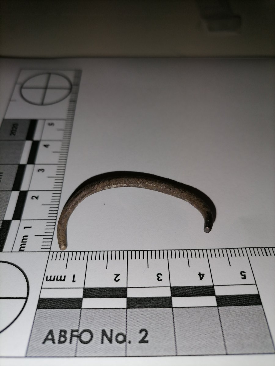 wooltondetect's tweet photo. Looks like the ring from Sunday is viking. Not bad for West Lancashire #metaldetecting https://t.co/lAVz10ojTN
