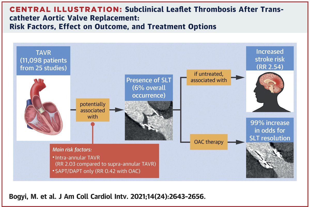 JSillerMatula's tweet photo. We are excited to share with you our new meta-analysis on subclinical leaflet #thrombosis after #TAVR
https://t.co/vK6Twy8uNG

@WomenAs1 @EuroInterventio @escardio @PCRonline @alaide_chief @VPanoulas @TCTMD @crfheart @MedUni_Wien @SCAI @Drroxmehran @SuzanneJBaron @JDawnAbbott1 https://t.co/6tAIJxCQXC