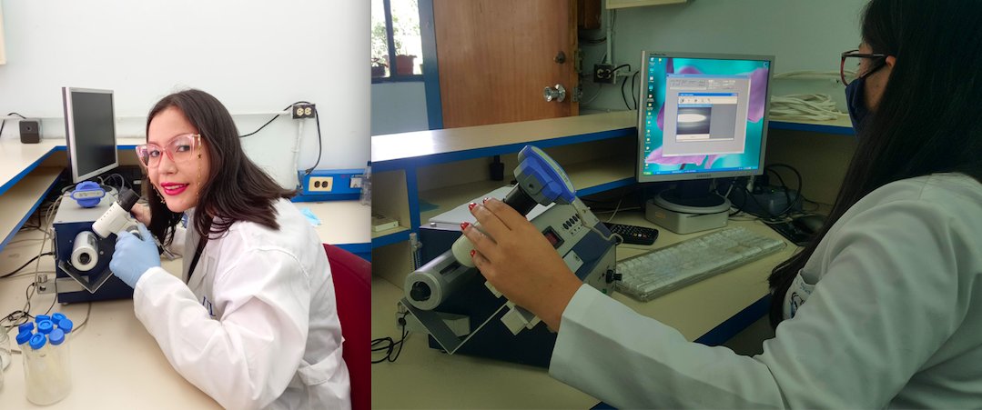 FIRPlab's tweet photo. Felicitamos a nuestra tesista y becaria FIRP, Luz Meza, por ser aceptada para realizar estudios doctorales en North Carolina State University.

Éxitos en esta nueva etapa de tu formación. https://t.co/tLIOZK20rZ