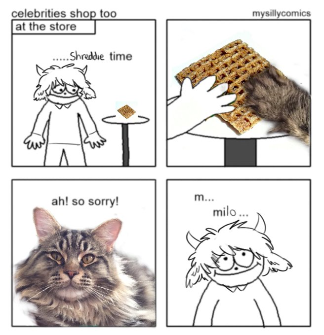 true story 