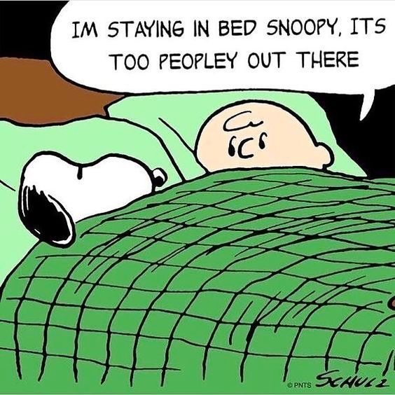 ElliottBlackwe3's tweet photo. I definitely get it, Charlie Brown https://t.co/RUr61CYve9