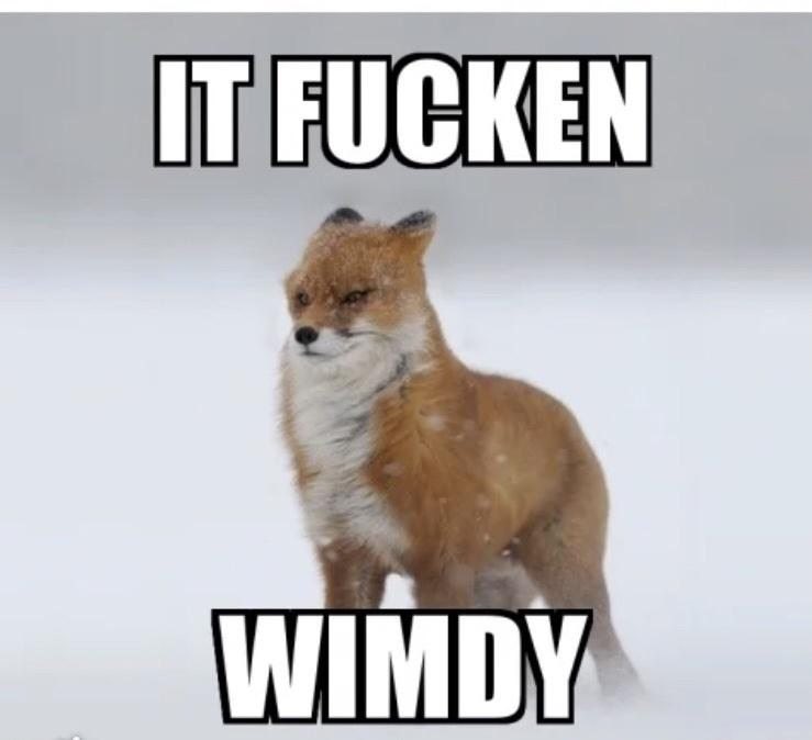 big_skunk1's tweet photo. This will never be not my favorite thing in the universe https://t.co/SlgO2MEIZc