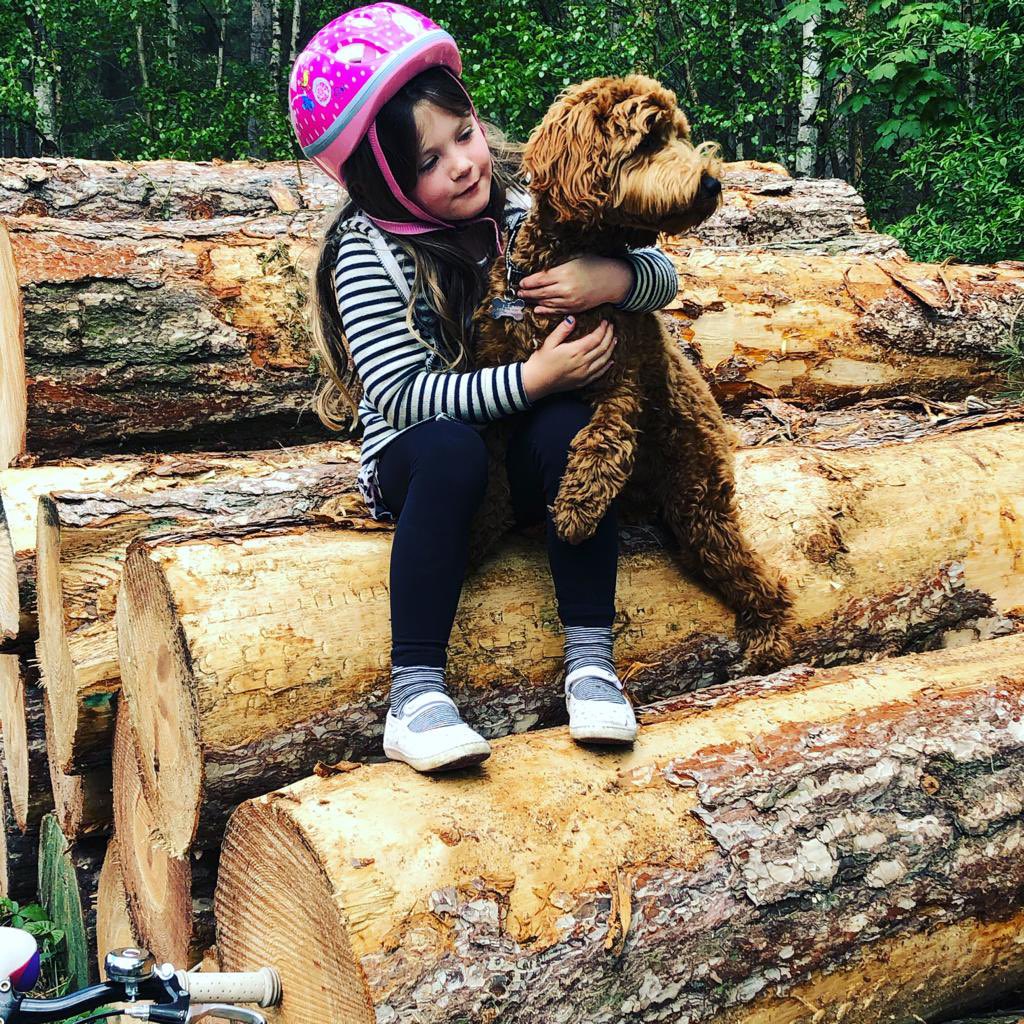 CockapooRufus's tweet image. Best frens #DogsofTwittter