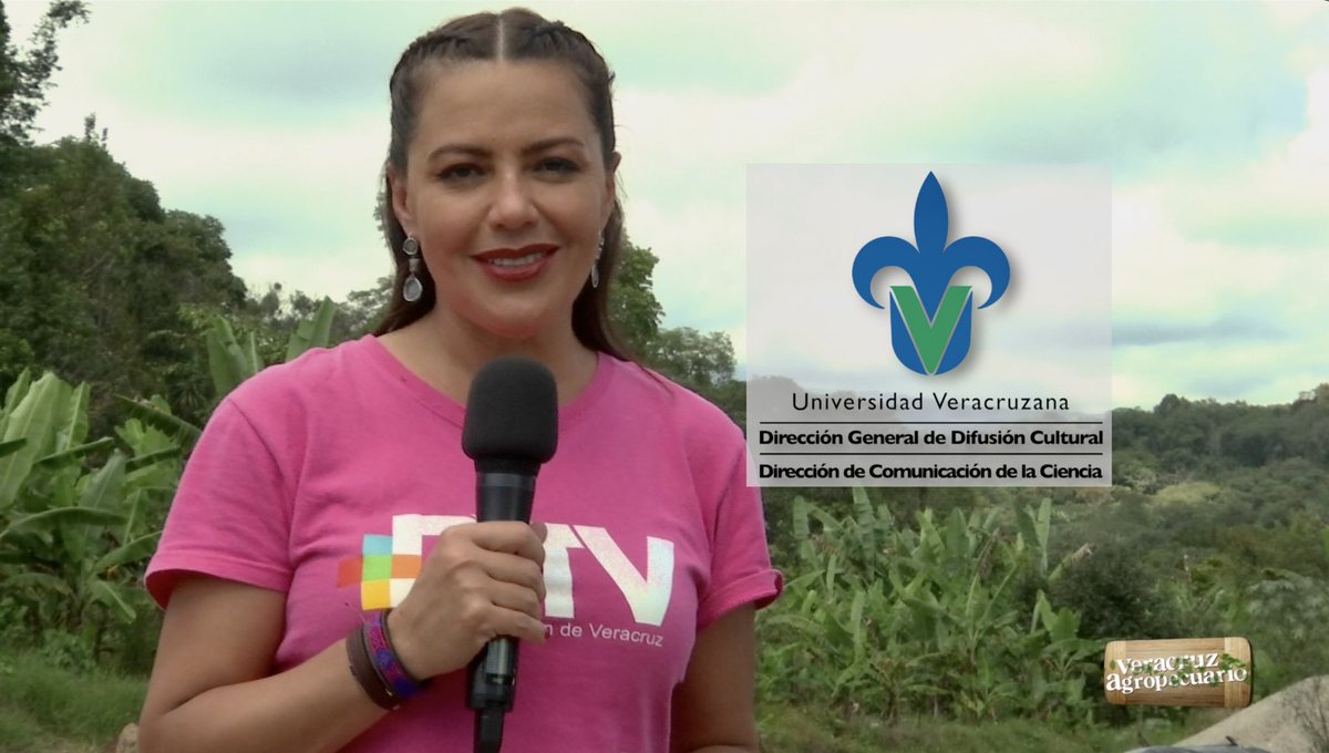 agropecuarioRTV's tweet photo. Hoy #FelizMartes les presentamos un programa grabado en la Facultad de Ingeniería en Sistemas de Producción Agropecuaria (#FISPA) en #Acayucan.
📺 Sintoniza @TVMASVeracruz Canal 26.1 a las 19:00 Hrs.
💻📱 https://t.co/3XGSeXORBn y redes sociales https://t.co/mDbiwtxVFc
