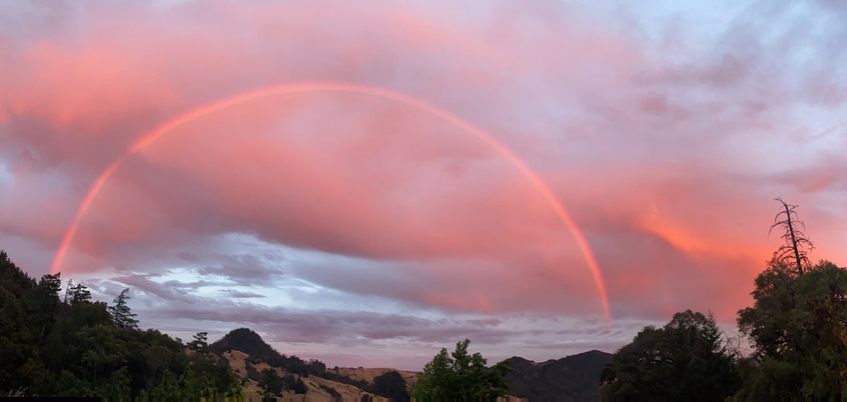 SoHum_FOLC's tweet photo. Today marks the winter solstice, and now is a time of reflection and looking ahead to the future. Now is a great time to gift a 1-time or recurring monthly donation to FOLC to support our mission and programs! https://t.co/6nHeRTbEkV https://t.co/txH7gYC1Ld