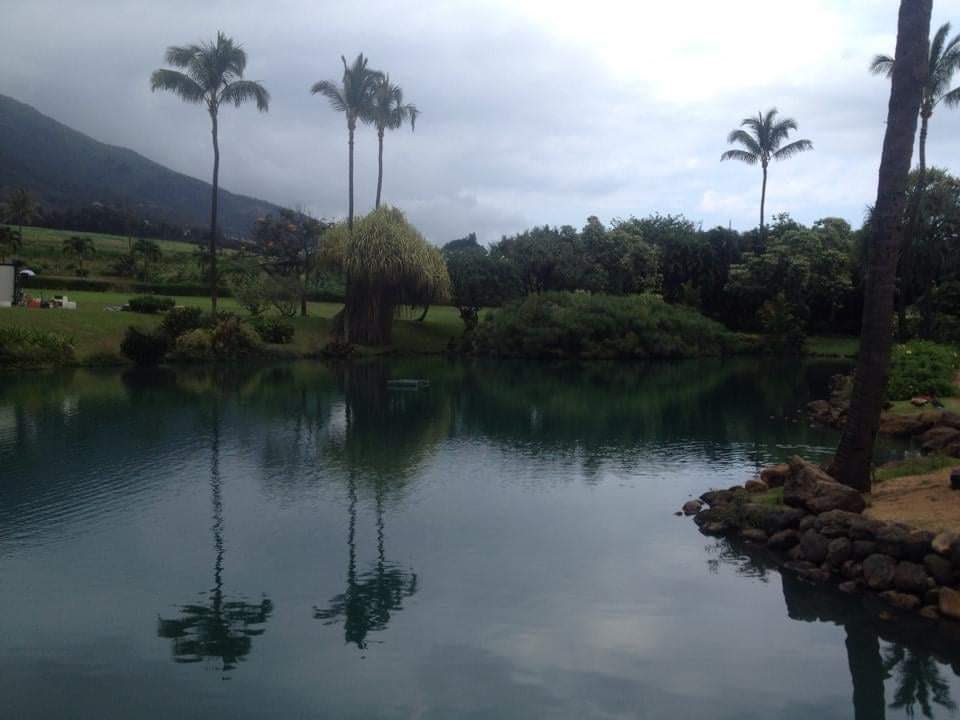 Medisin (@medisinfractalz) on Twitter photo This one time years ago I got to DJ Maui Plantation Pineapple Grove. Good times. Someday again hopefully 🙏 🍍 <a href="/SecrtPineapple/">The Grove</a> <a href="/ThetaDrop/">ThetaDrop</a> @interjacked @Theta_URP <a href="/GeneralDole_SPS/">DJ - Dole “Artist formerly known as General Dole”</a> <a href="/planetmindbody/">Crazy4Cryptos.com</a> <a href="/TheRareRobot/">Rare</a> <a href="/thewilliamlehr/">Will in paradise 🇸🇻</a> #NFT #NFTCommunity #nftart This one time years ago I got to DJ Maui Plantation Pineapple Grove. Good times. Someday again hopefully 🙏 🍍 <a href="/SecrtPineapple/">The Grove</a> <a href="/ThetaDrop/">ThetaDrop</a> @interjacked @Theta_URP <a href="/GeneralDole_SPS/">DJ - Dole “Artist formerly known as General Dole”</a> <a href="/planetmindbody/">Crazy4Cryptos.com</a> <a href="/TheRareRobot/">Rare</a> <a href="/thewilliamlehr/">Will in paradise 🇸🇻</a> #NFT #NFTCommunity #nftart