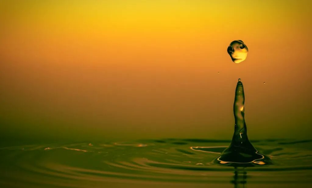 CNFT World tweet media