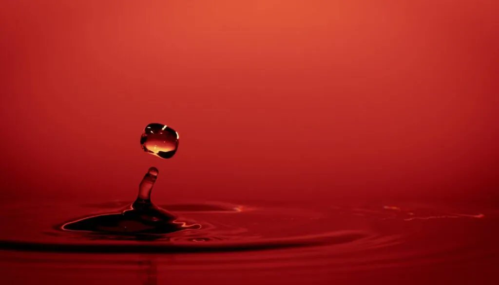 CNFT World tweet media