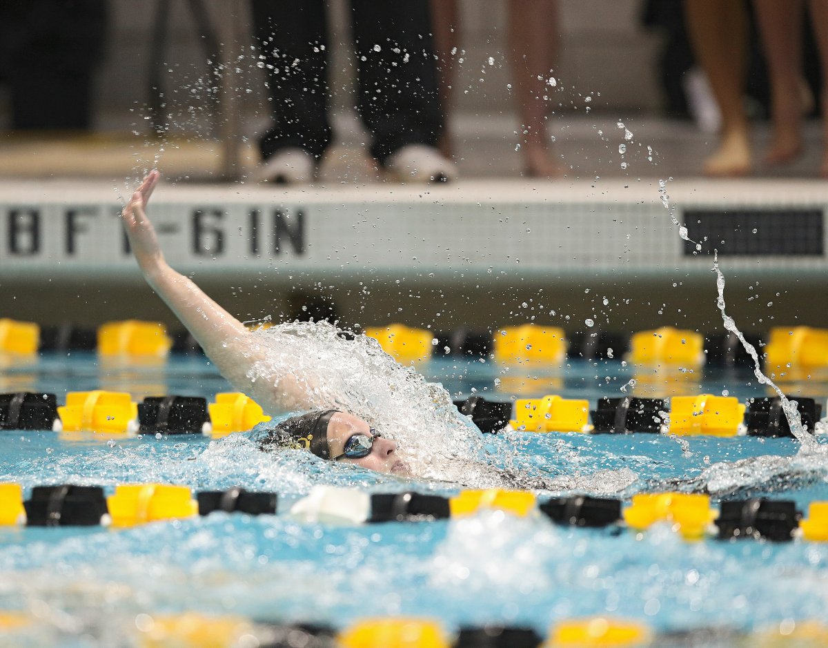 IowaSwimDive's tweet photo. Welcome (BACK) @annapfeiffer24!  #Hawkeyes https://t.co/ggnBC5tRCR